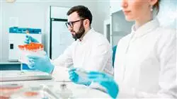 ##IMAGE##