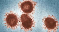 curso diagnostico tratamiento infecciones causadas bacterias s