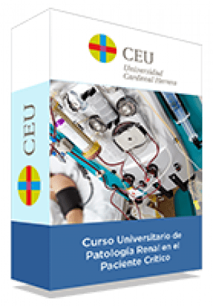 diplomado patologia renal paciente critico caja
