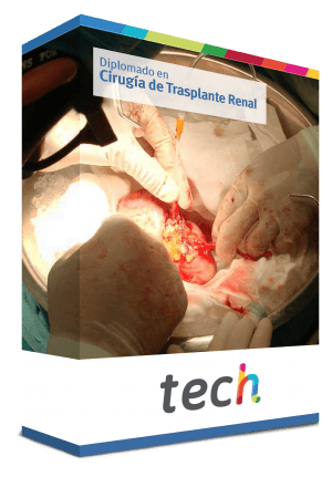 diplomado cirugia trasplante renal caja