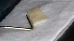 ##IMAGE##