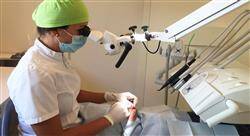 formacion periodoncia y endodoncia