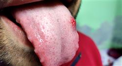 curso medicina oral metodos diagnosticos Tech Universidad