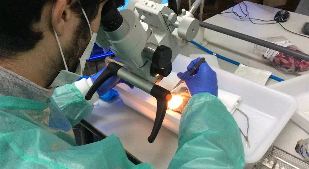 cursos periodoncia aplicada a la implantología