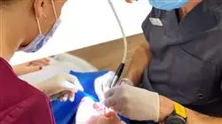 ##IMAGE##