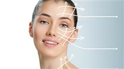 posgrado anatomia cabeza cuello medicina estetica