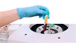 ##IMAGE##