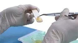 ##IMAGE##