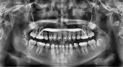 maestria ortodoncia