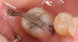 posgrado ortodoncia ortopedia