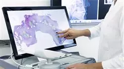 ##IMAGE##