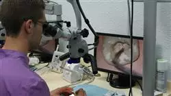##IMAGE##
