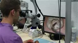 ##IMAGE##