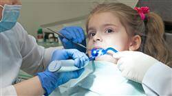 curso tratamiento endodóncico en niños, el ápice abierto