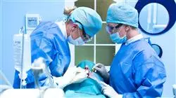 master online ortopedia dentofacial