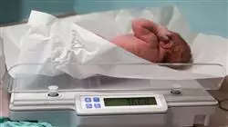 ##IMAGE##