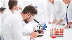 ##IMAGE##