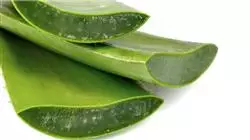 ##IMAGE##