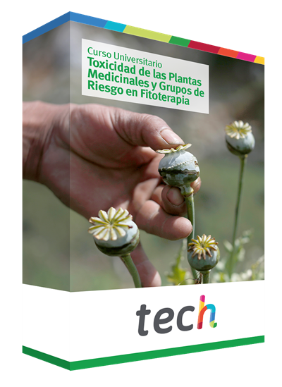 diplomado toxicidad plantas medicinales grupos riesgo fitoterapia caja