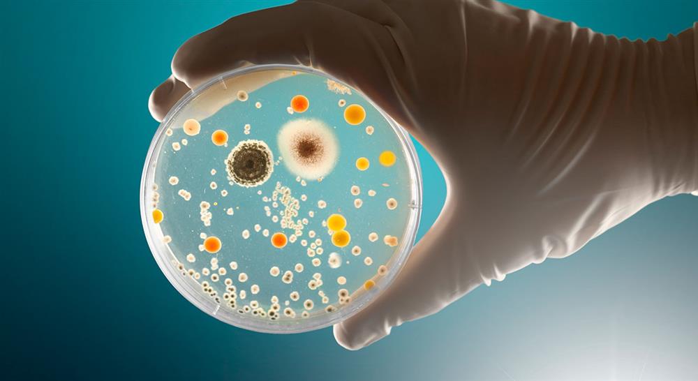 curso método clínico y la investigación científica en las enfermedades infecciosas para farmacéuticos