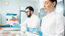 ##IMAGE##