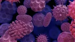 ##IMAGE##