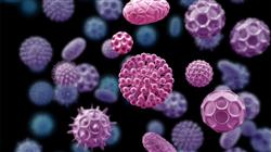 estudiar diagnostico tratamiento infeccion causada virus