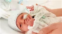 ##IMAGE##
