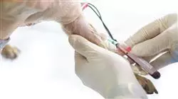 ##IMAGE##