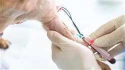 ##IMAGE##