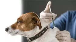 ##IMAGE##