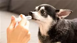 ##IMAGE##