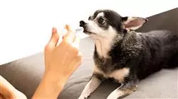 ##IMAGE##