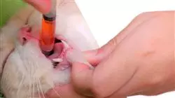 ##IMAGE##