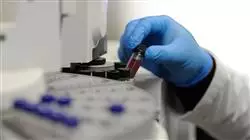 ##IMAGE##