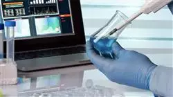 ##IMAGE##