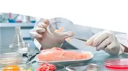 ##IMAGE##