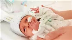 ##IMAGE##