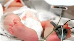 ##IMAGE##