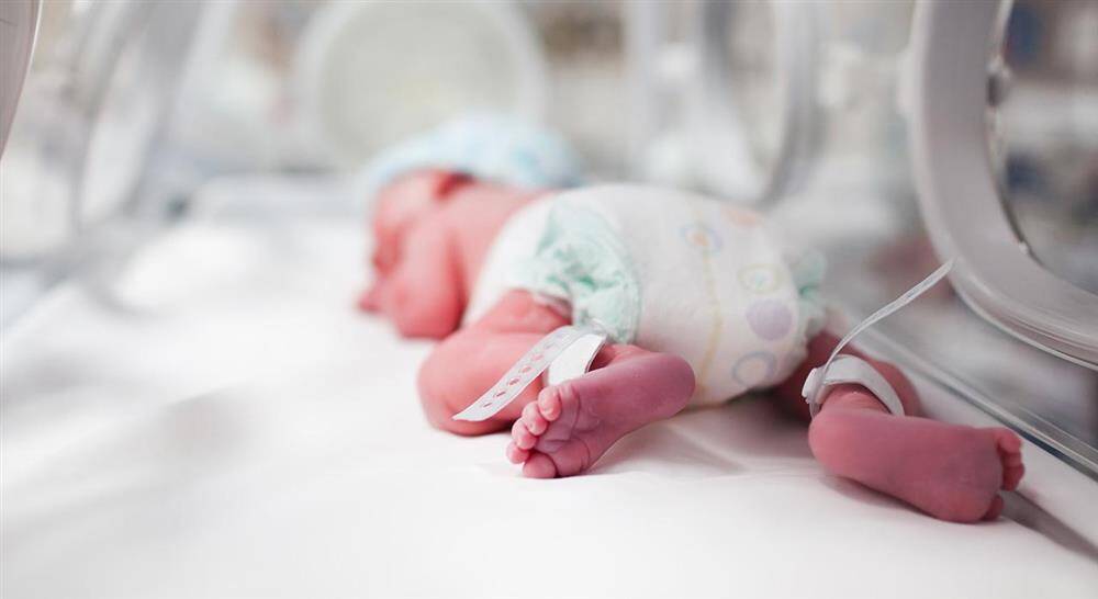 especializacion online infección en el periodo neonatal