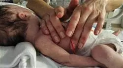 ##IMAGE##