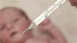##IMAGE##