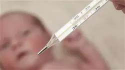 ##IMAGE##