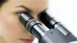 ##IMAGE##