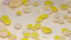 ##IMAGE##