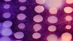 posgrado bacterias multirresistentes patologia humana