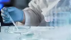 ##IMAGE##