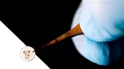 ##IMAGE##