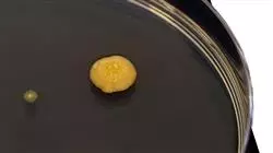 ##IMAGE##