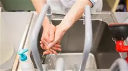 ##IMAGE##